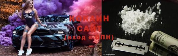тгк Заводоуковск