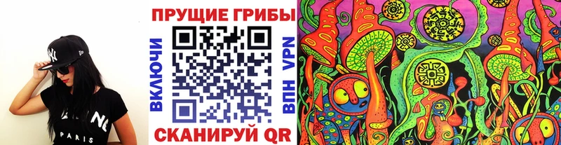Псилоцибиновые грибы Psilocybine cubensis  Купить закладки  Бодайбо 