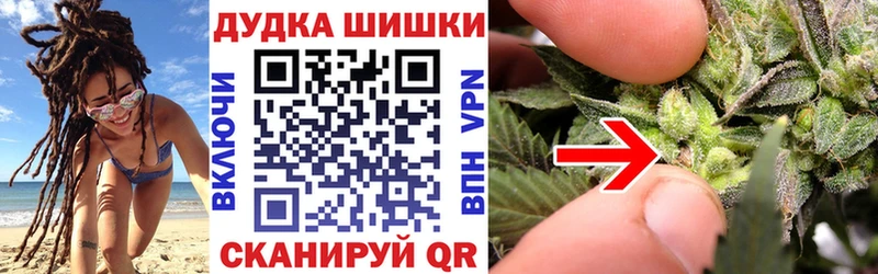 Канабис OG Kush  Купить где  Бодайбо 